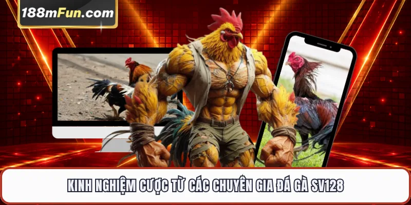 Kinh nghiệm cược từ các chuyên gia đá gà SV128